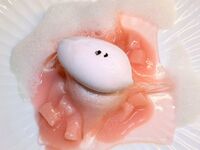 【Seasonal Special – “Peach”】 Peach cocktail, peach-themed desserts; a total of 7 dishes including a truffle platter