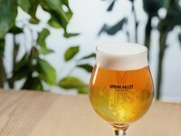 【August-Only Plan】 “Summer Wheat Night Course”: 6 large plates with 9 dishes + 2 hours of all-you-can-drink for 5,800 yen