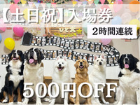 Admission ticket (Obon, weekends & holidays): 2 consecutive hours