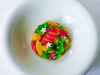 [LE CHENE] Petit Saison