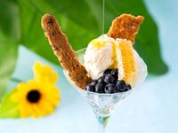 [8/1~] Frozen Yogurt