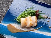 【 Tokyo Food Tour (Summer) 2026 】 Special Lunch Course “Irodori”