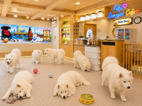 [Advance reservation/Saturdays, Sundays & Holidays] Shop usage ticket (60 mins) + unlimited drinks
