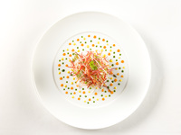 【満足のWメイン】全7皿　＋　乾杯スパークリング