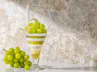 【9/1～10/31】Strings Parfait「Shine Muscut ＆ Green Tea」