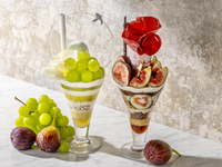 【9/1～10/31】Strings Parfait Duo 