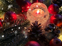 【12/23-25】Halekulani Coconut Cake 10cm