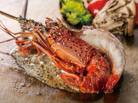 ランチ【限定ロブスターコース 】ロブスター、厳選国産牛サーロインステーキ、デザート等全7品（9/18〜9/27）