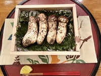 ちょっと贅沢、早松茸コース