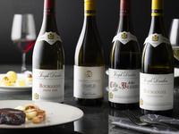 [Time Sale] Monthly Seasonal Lunch Course [Limited-time 10% off]