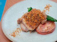 【LUNCH｜14:00限定】PREFIX COURSE 乾杯酒付き 全5品 (事前予約)