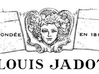 [Limited to 28 guests] Louis Jadot × SPICE LAB TOKYO Makers’ Dinner