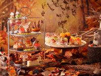 Afternoon  Tea -Autumn Story-  平日