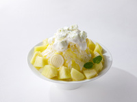 “Muskmelon” Shaved Ice | With coffee or tea