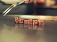 【LUNCH｜14:00 限定】Standard Course 乾杯酒付き　全6品 