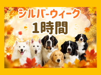 入場券