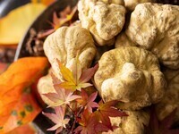 《期間限定》スペシャリテ メニュー 【11月6日よりご提供】