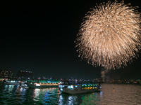 （通常乗合船）東京湾花火大会