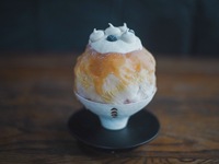 Shaved ice couse