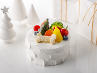 【HPCJ20％OFF】2026ドッグ用クリスマスケーキ