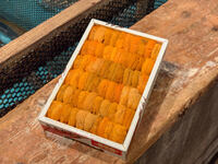 ★ Premium UNI (Sea Urchin) Tray ★