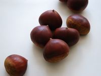 Dal 25/9: Menù stagionale di dessert (6 portate)