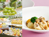 🍇シャインマスカットの食べ放題付き🍇平日限定！◇スイーツ8種を選べるデザートワゴン付き◇四季庭カジュアルプレート（チキンランチ）