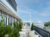 Harbor Terrace Lunch Set