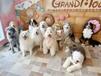 【土日祝】ふれあいプラン　スペシャルドリンク付き