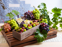 【Weekdays | Welcome drink included】 ‘Grape Harvest Festival’: All-you-can-eat of 3 domestic grape varieties, including Shine Muscat!