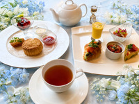 RONNEFELDT TEA SEMINAR