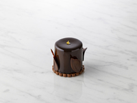 Chocola Rose