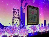 9月限定プロジェクションマッピングディナー