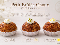Petit Brûlée Choux-プチブリュレシュー-