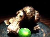 MATSUTAKE course