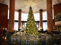 【Reservations for November onward】Weekend and holiday dinner buffet + one complimentary drink of your choice