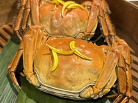 フカヒレ上湯とろみスープに変更した、上海蟹づくしスペシャルディナーコース（10/22～12/27）