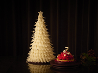 Chocolate White Christmas Tree