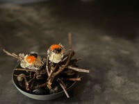 A dinner course using ingredients from Nara that goes well with sake