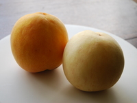 Dal 19/9: Menù stagionale di dessert (6 portate)