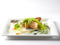 【Satisfying Double Mains】 7 courses total