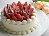 ショートケーキ　直径21cm　11/1～