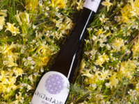 【Lunch Course】 A full-bottle pairing course featuring abundant autumn flavors and colors <5 courses>