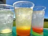 【器材レンタルプランの方】ソフトドリンク飲み放題（最大３時間）