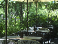 【秋LUNCHコース店内席指定なし】9月15日〜10月31日 秋LUNCHコース  5500円 (LUNCH)