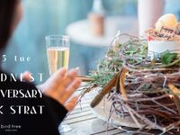 [Premium Anniversary Course] Terrace Bird's Nest Anniversary Course "Bird's Nest Cake Course"