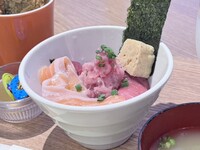 Kids’ Seafood Donburi