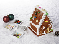 【Only on 12/20 from 10:00】Gingerbread House Decoration Class