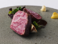 【LUNCH COURSE 8800YEN】旬の食材を季節毎にお楽しみ頂ける全6品　9月16日からの新メニュー