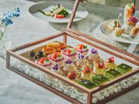 ★シェフお勧め★食後のカフェがフリードリンク＆6種類から5種選べるドルチェBOX付★メインは国産豚肉の全4品カジュアルランチ！
